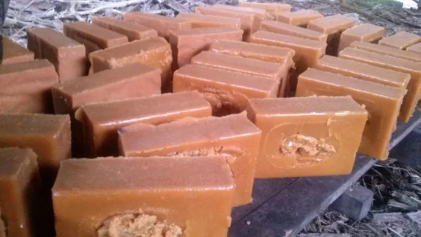 panelones Panela en Bloque Tradicional